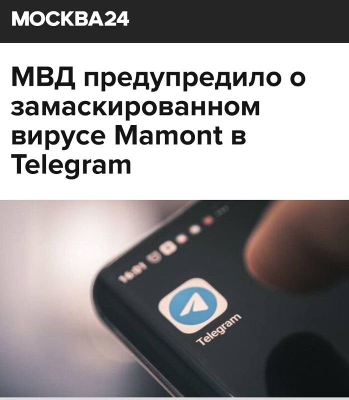      Mamont  Telegram:              